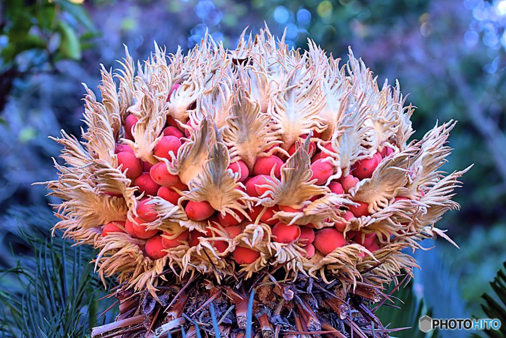 おどろおどろしい　ギャー