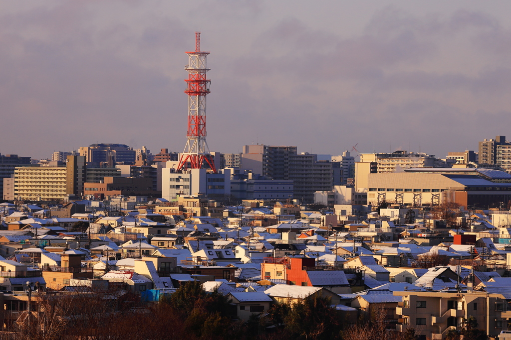 白い屋根