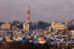 白い屋根