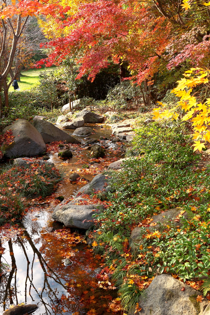 庭園風景　　せせらぎ