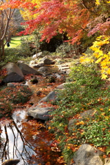 庭園風景　　せせらぎ