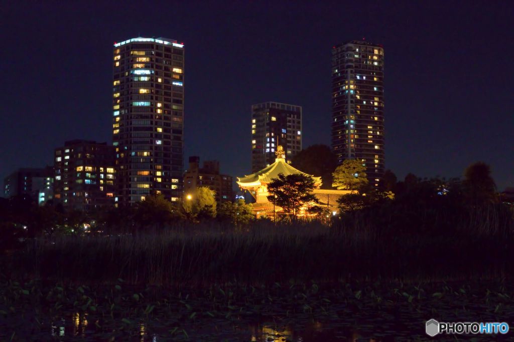 不忍池　弁天堂　　歴史の今