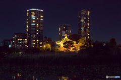 不忍池　弁天堂　　歴史の今