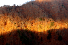 山肌コントラスト