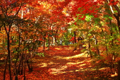 現実逃避　出来る