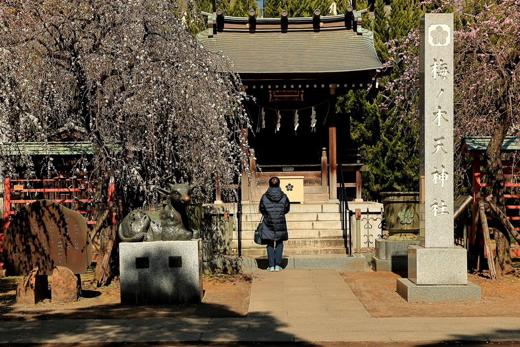 梅の木天神社