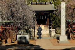 梅の木天神社