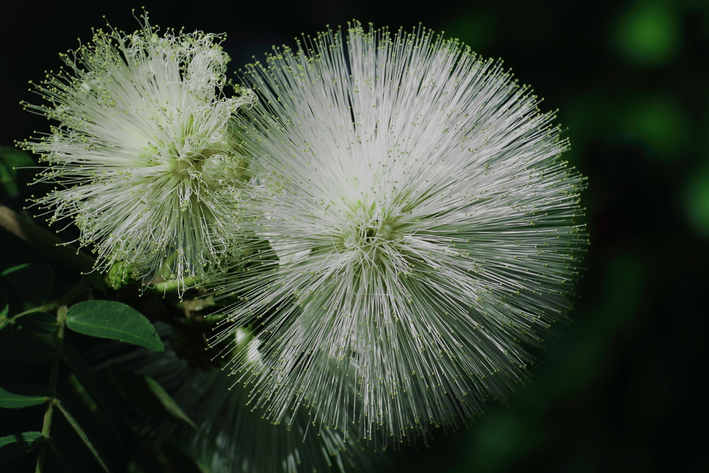 芸術は爆発だ