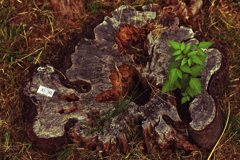 老兵は死なず・・・