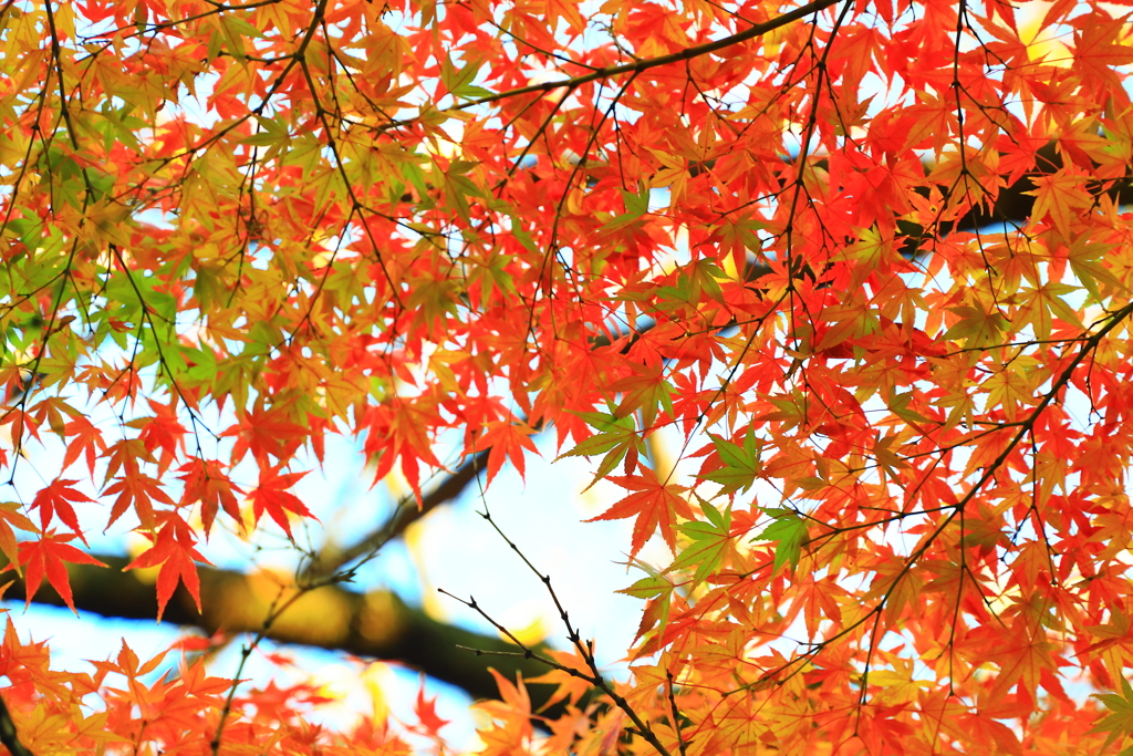 進度のズレが美を生む