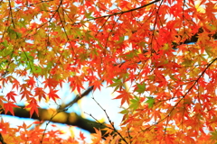 進度のズレが美を生む