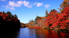 お水端（おみずばた）　秋麗