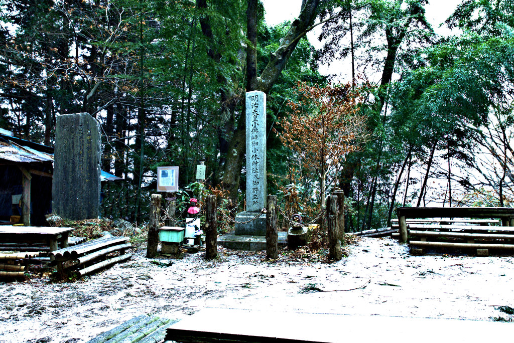 明治天皇もびっくり(ﾟДﾟ;)