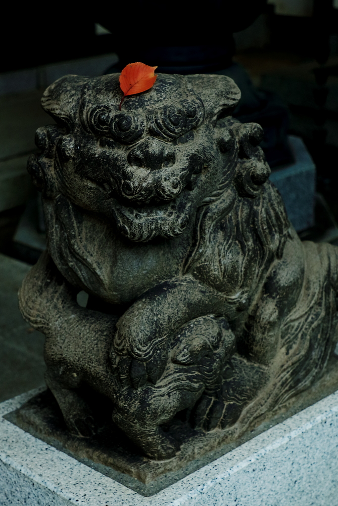 紅葉三昧　　載せたでしょ？
