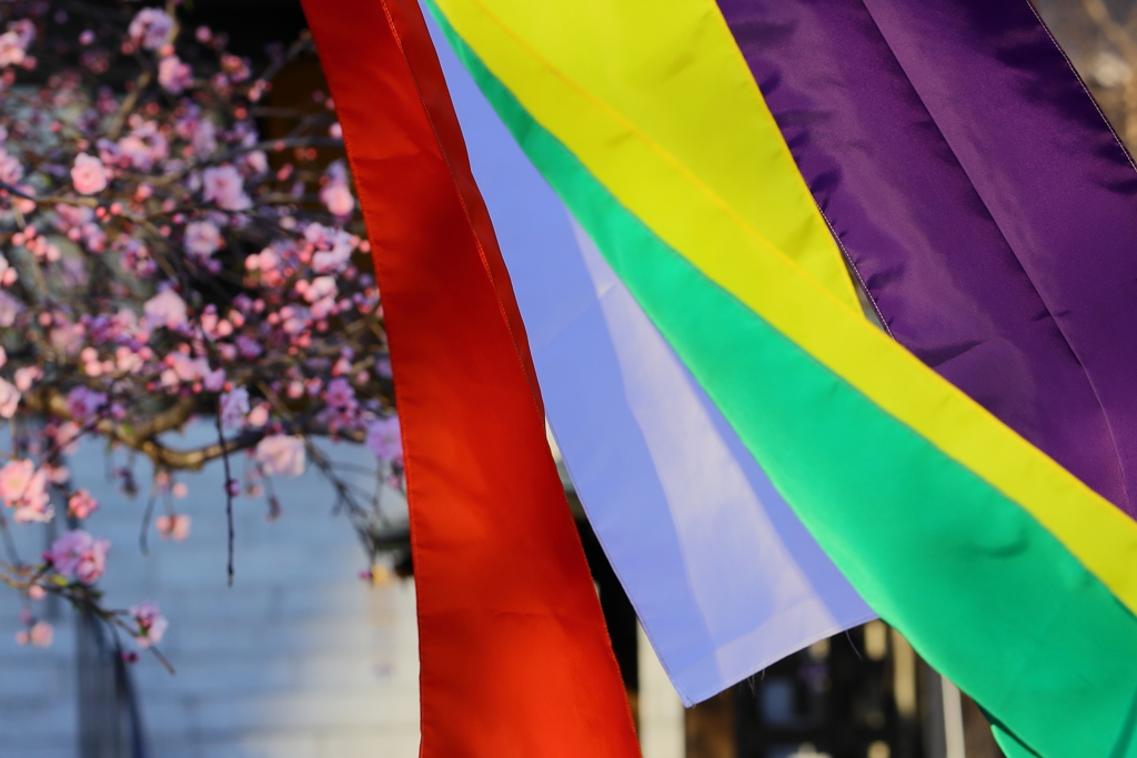 仏旗　突然ファインダーを覆う