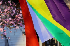 仏旗　突然ファインダーを覆う