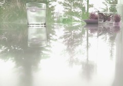 リフレクション