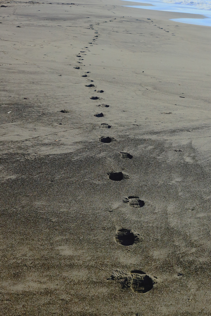 立ち止まれ！振り返れ！