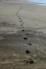 立ち止まれ！振り返れ！