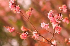 お先に失礼(^_-)-☆