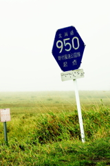 野付半島　　霧の中