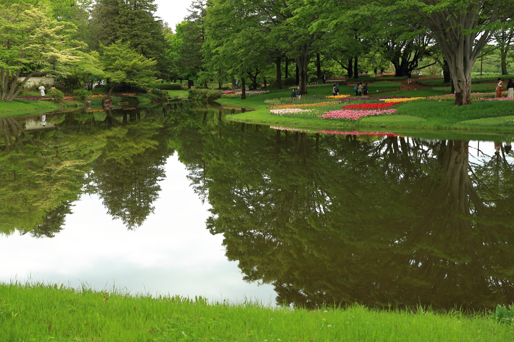 やさしいきもち