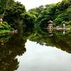 玉藻池　新宿御苑