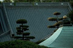 甍（いらか）の波