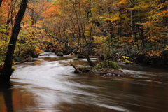 奥入瀬渓流　滔滔と