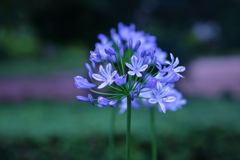 ボリュームアップ