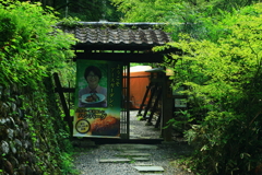 ぽつんと一軒　山谷間のレストラン