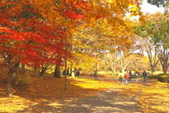 夢見ごこち　染まる