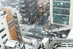 東京　３月の雪は　春のプロローグ