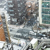 東京　３月の雪は　春のプロローグ