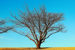 沈黙の中に宿る