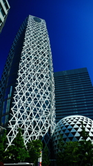 出発の朝　は　五月晴れ