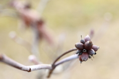 時　を　纏った