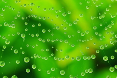 向こう側は水玉を通して観てください