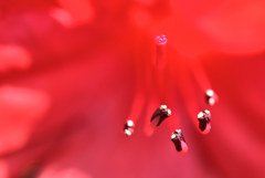 二つの目が光る