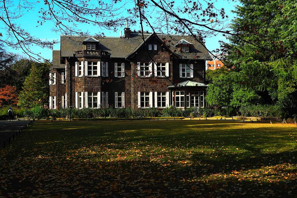 初冬の冷たくも柔らかな光