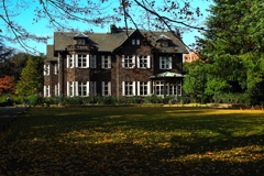 初冬の冷たくも柔らかな光