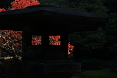 石灯籠に秋明の灯