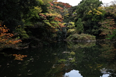 色づき始めた都会の幽谷