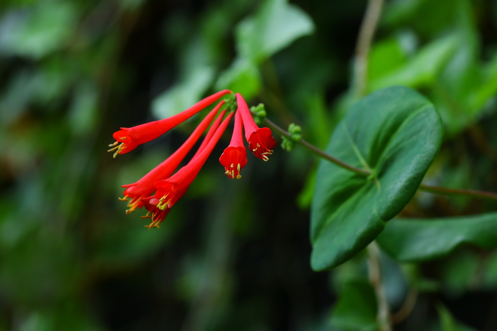 突き抜けている！