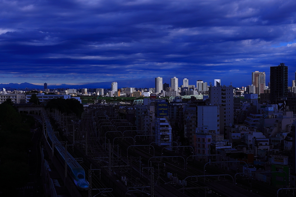 陰と陽　朝陽の行方