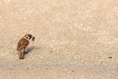 さて、どうしたものか・・・。