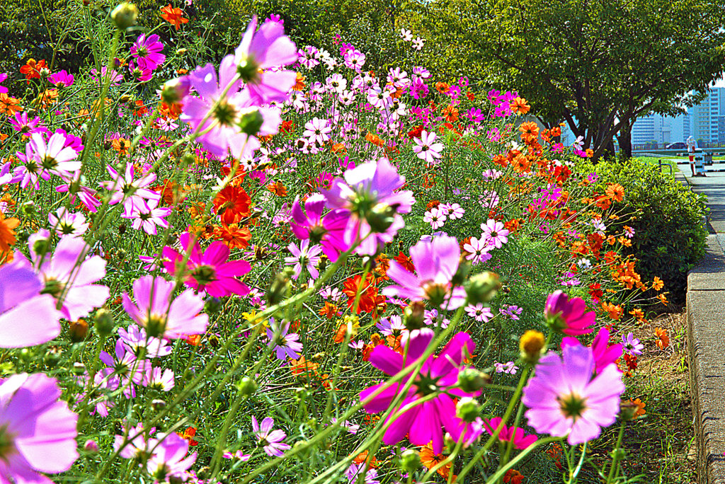 太陽は元気の源