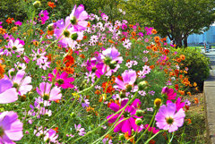 太陽は元気の源