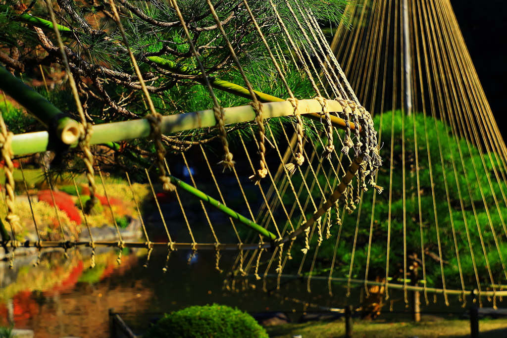 雪が降ってくれないかな～