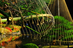 雪が降ってくれないかな～